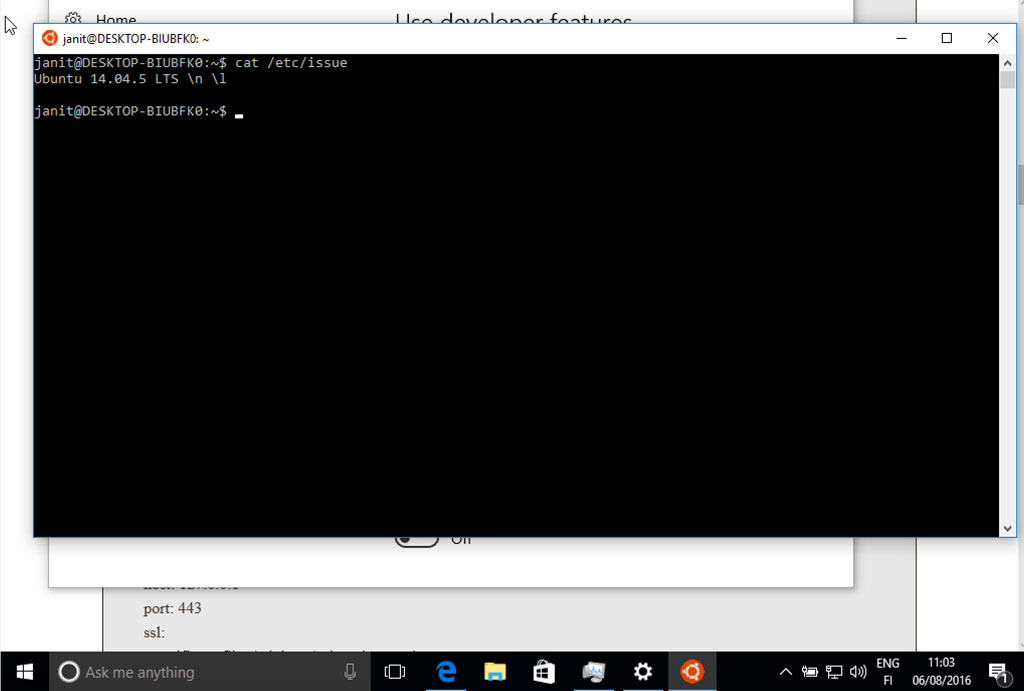 Windows subsystem for Linux, Basic console